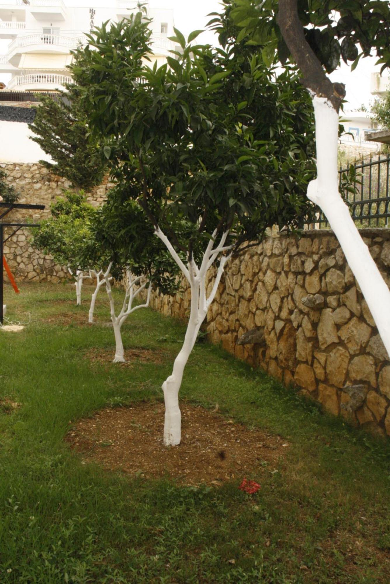 Villa Kreshta كساميل المظهر الخارجي الصورة